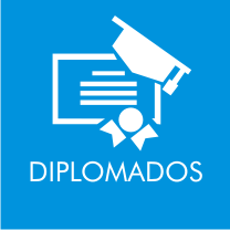 Diplomados Conceptual Holding