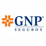 Capacitación Empresarial Cliente-Syncretic-GNP