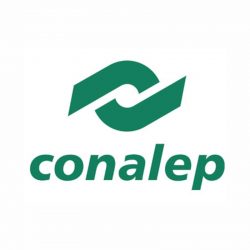 Cliente Conceptual Holding-CONALEP