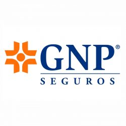 Cliente Conceptual Holding-GNP